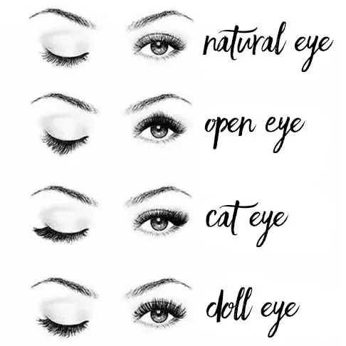Guide to Lash Extension Styles showing natural eye, open eye, cat eye, and doll eye lash mapping with illustrated eye examples.