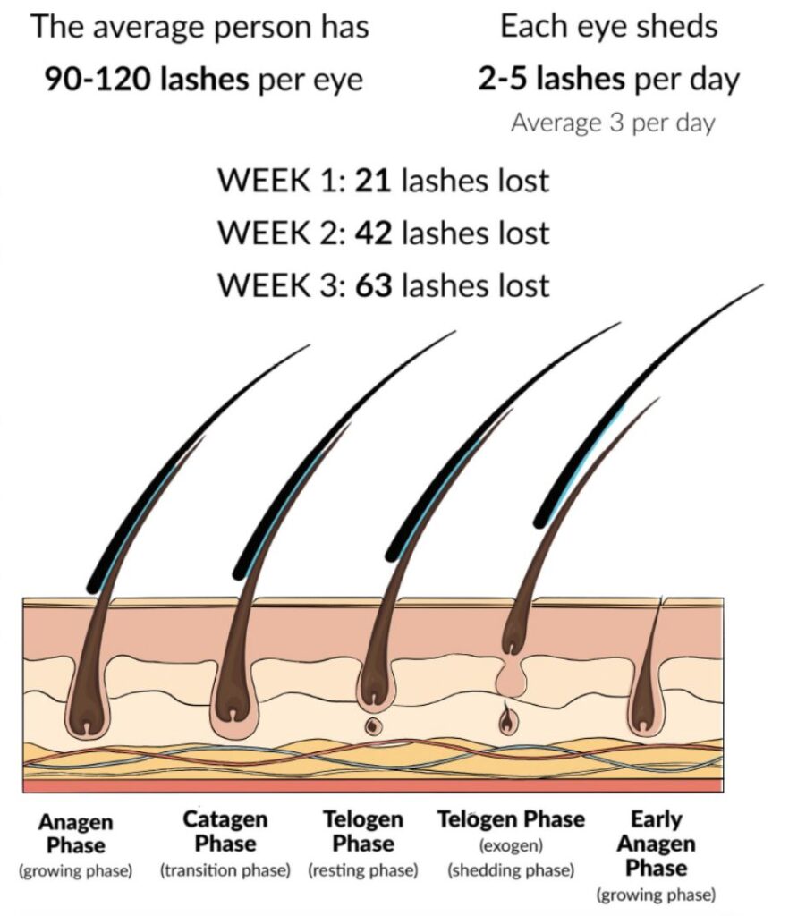 Educational graphic explaining why do lash extensions fall out fast, showing common lash issues and eye illustrations related to retention problems.